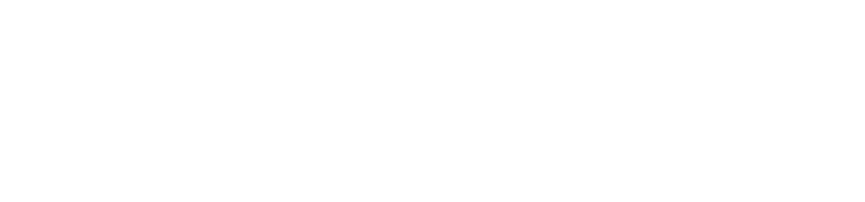 Portela Connect